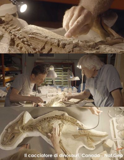Il cacciatore di dinosauri - Canada Bapu