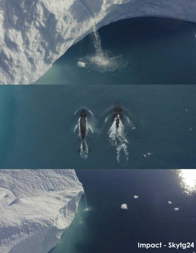 Groenlandia stills bapu